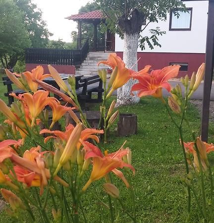 Guest House Antonela スモーヤナク エクステリア 写真