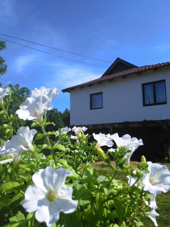 Guest House Antonela スモーヤナク 部屋 写真